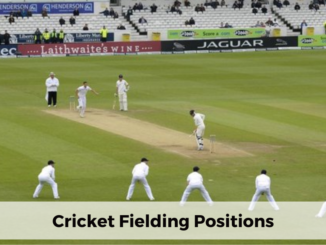 fielding positions in cricket