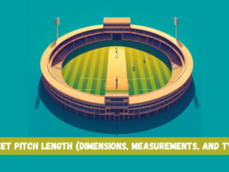 Cricket Pitch Length