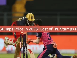 IPL Stumps Price in 2025