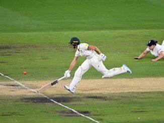 Cricket