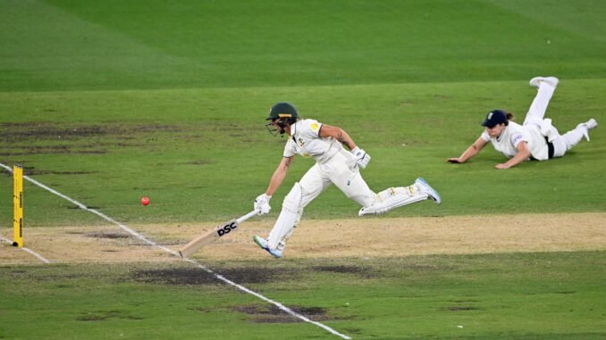 Cricket