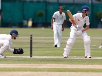 Cricket