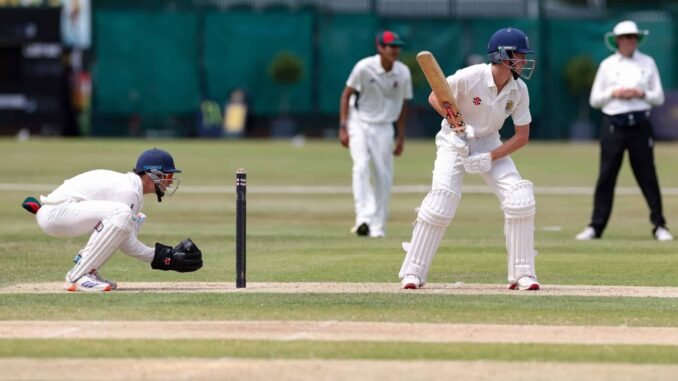Cricket