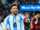 messi net worth